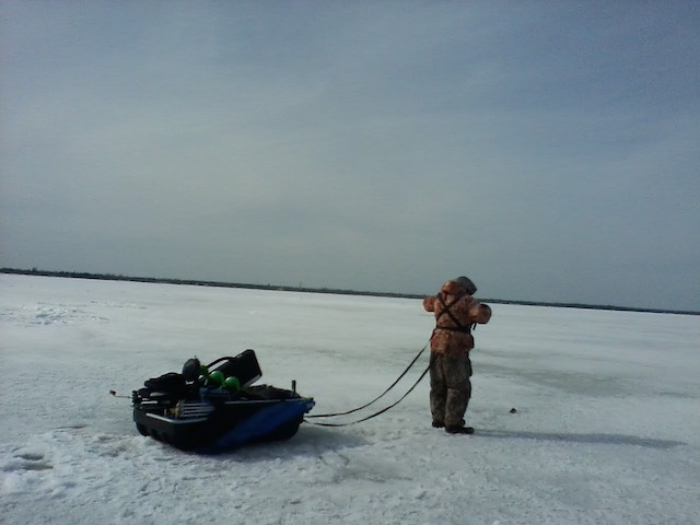 Steve Harnas